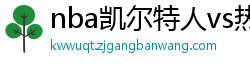 nba凯尔特人vs热火